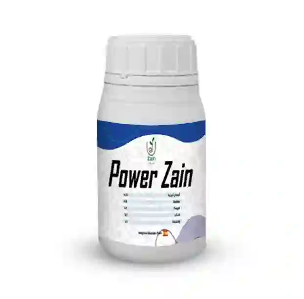 Zain Rwp Z Zain Seeds