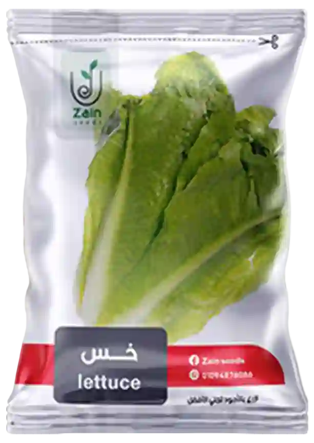 Zain Seeds